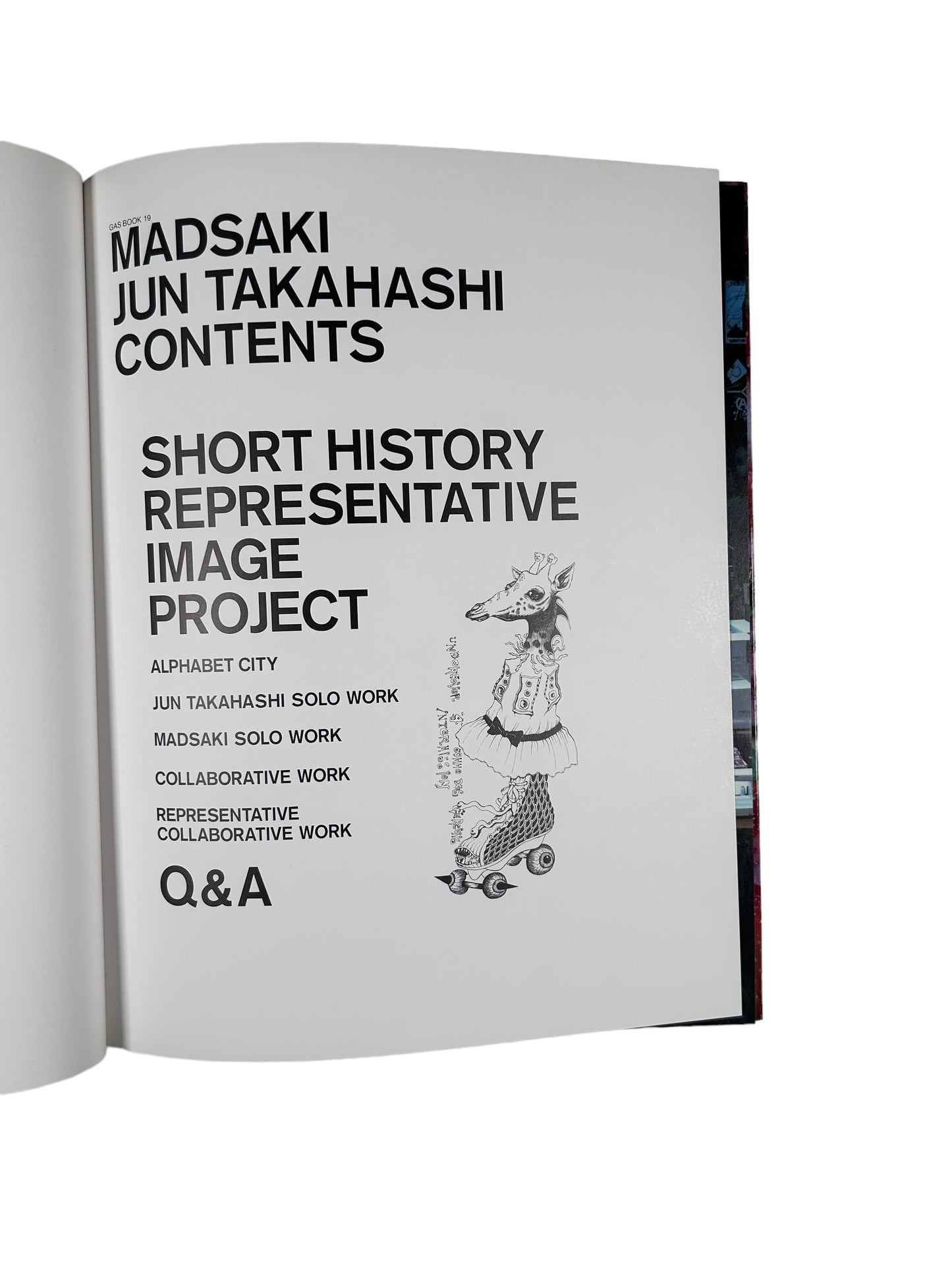 2005 Gasbook 19 MadSaki Jun Takahashi Hardcover (2)